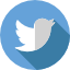 twitter-icon